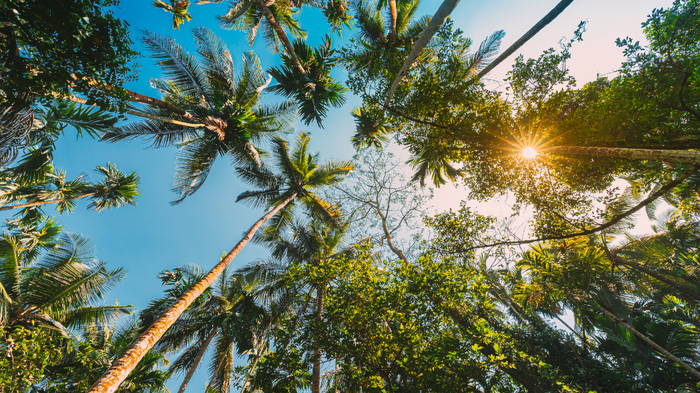 Goa